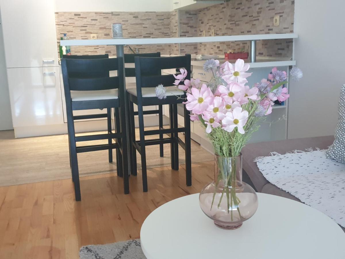 Apartman Srna 트레빈예 외부 사진